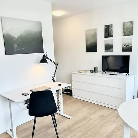 Stilvolles City-studio Mit Dachterrasse